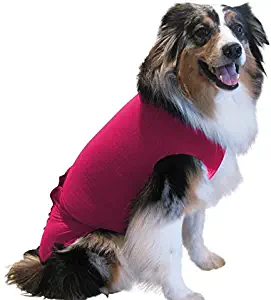 Surgi~Snuggly Dog Cone - E Collar Alternative for Dogs, Protects Your Pet's Wounds and Bandages, Aids Hot Spots, and Provides Anti Anxiety Relief