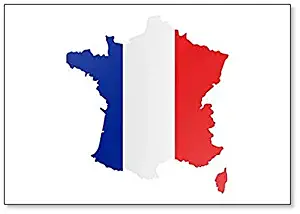 France Map with Flag Fridge Magnet