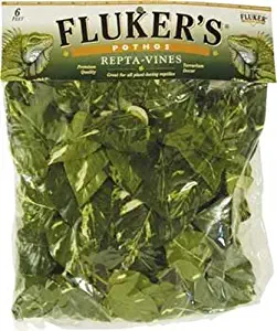 Fluker's Pothos Repta Vines for Reptiles and Amphibians