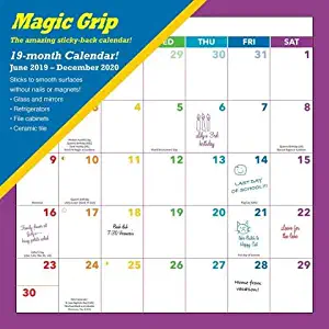 2020 Magic Grip Rainbow Monthly 19-Month Wall Calendar