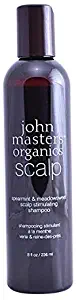 John Masters Organics - Spearmint & Meadowsweet Scalp Stimulating Shampoo - Volumizing & Moisturizing Formula Infused with Essential Oils & Proteins for Dry Scalp - Safe for Color Treated Hair - 8 oz