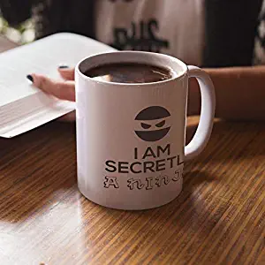 I Am Secretly A Ninja - Funny Sarcastic Gift For Ninjas Fan With Ironic Sense Of Humor And Martial Arts Lover With Cool Karate Power!