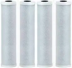 CFS COMPLETE FILTRATION SERVICES EST.2006 4-Pack Replacement Rainsoft 21179 Activated Carbon Block Filter - Universal 10 inch Filter for Rainsoft 21179 Three Stage RO System