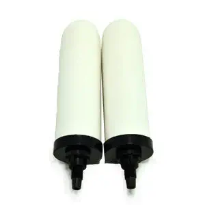 AquaCera CeraGrav LP-5 Replacement Ceramic Candle Filter - Pack of 2