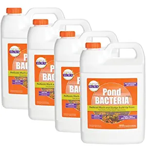 PondWorx Pond Bacteria - Formulated for Large Ponds, Water Features and Safe for Koi - 4 Gallon Value Pack