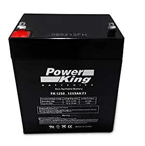Beiter DC Power Chamberlain 4228 EverCharge Replacement Battery- 12v 4.5ah/ 12v 5ah