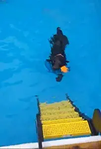 WaterDog Adventure Gear Dog Ladder for Swimming Pool