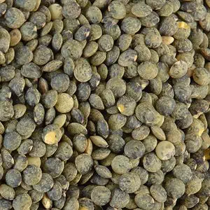 Green Lentils (AOP Le Puy France)