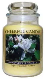 CC Home Furnishings A Cheerful Giver Honeysuckle Vanilla Scented 2-Wick Glass Jar Candle - 24 oz.