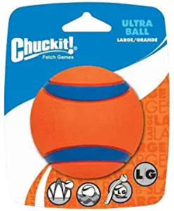 Chuckit Dog Ball