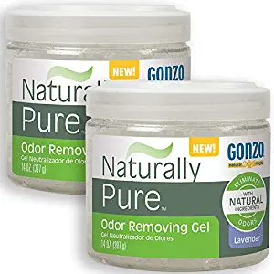 Gonzo Natural Magic Naturally Pure Odor Removing Gel 14 Ounce (2 Pack) Works On Pet, Smoke, Trash, Kitchen, Closet, Bathroom Odors