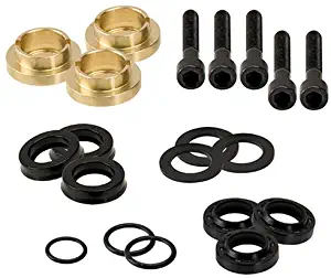 Briggs & Stratton Pressure Washer Seal Kit Set 190595GS