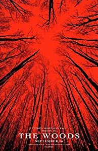 BLAIR WITCH 2016 - WOODS Original Movie Poster 27x40 - Dbl-Sided - VALORIE CURRY