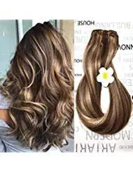 Clip in Human Hair Extensions Medium Brown with Honey Blonde Highlights 4/27 Clip on Balayage Ombre Hair Extensions 16 inch 7 PCS Full Head Silky Straight Long Fine Hair 70g Remy Hair