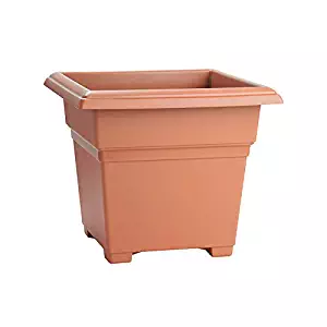 Novelty Countryside Square Tub Planter, Terra, 14-Inch