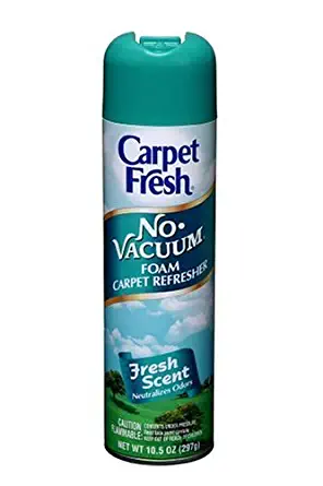 Carpet Fresh Quick-Dry Foam, Fresh Scent, 10 OZ