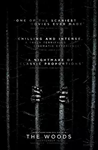 BLAIR WITCH 2016 - THE WOODS Original Movie Poster 27x40 - Dbl-Sided -