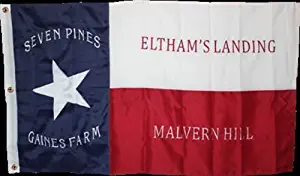ALBATROS 3 ft x 5 ft Embroidered 1st Texas Infantry Reg. Hood Brigade Synthetic Cotton Flag for Home and Parades, Official Party, All Weather Indoors Outdoors