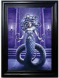 Those Flipping Pictures MEDUSSA Framed Wall Art-Lenticular Technology Causes The Artwork to Flip-Multiple Pictures in ONE-Hologram Type Images Change-Mesmerizing Holographic Optical Illusions