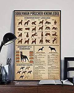Doberman Pinscher Knowledge Body Language Anatomy Colors poster 24x36 inches